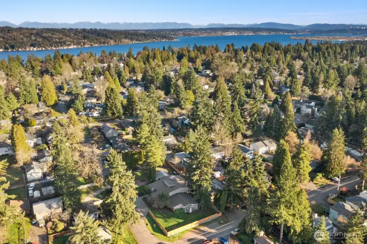 Lake Washington becons in Cedar Park!