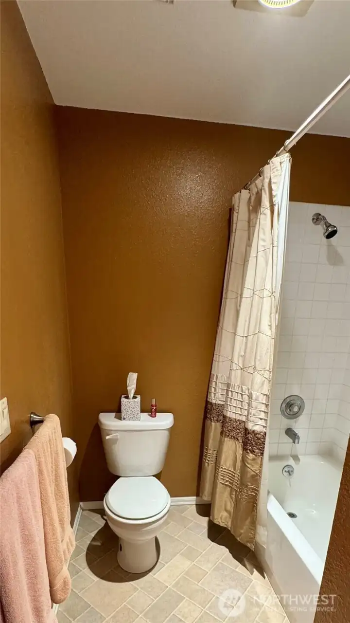 This is the main bath toilet!