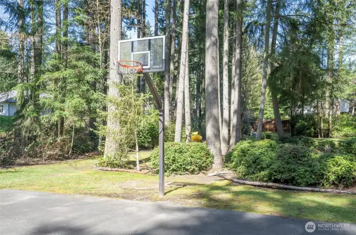 Basketball hoop @ HOA park