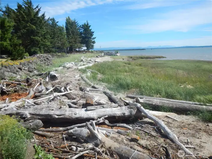 LOOKING BACK TO PROP (SOUTH) ON POINT