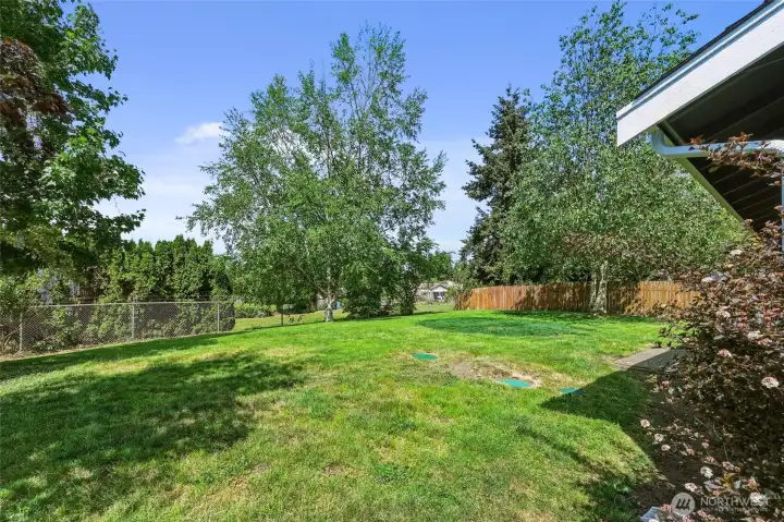 Spacious and beautiful fenced backyard!