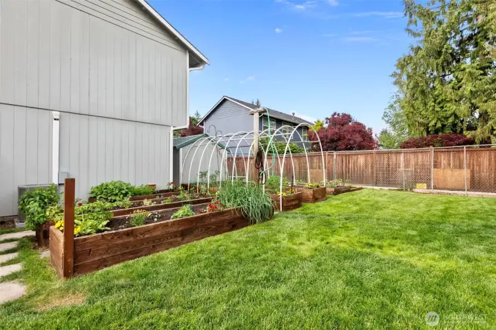 Beautiful garden, move-in eggies ready to eat