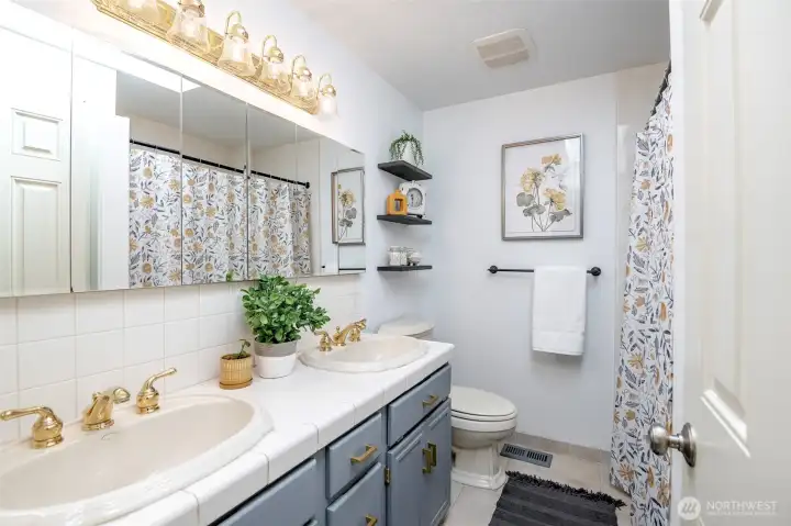 Upper hall full bath with skylight