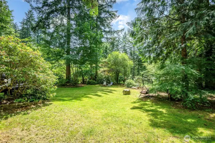 A backyard for anything and everything!