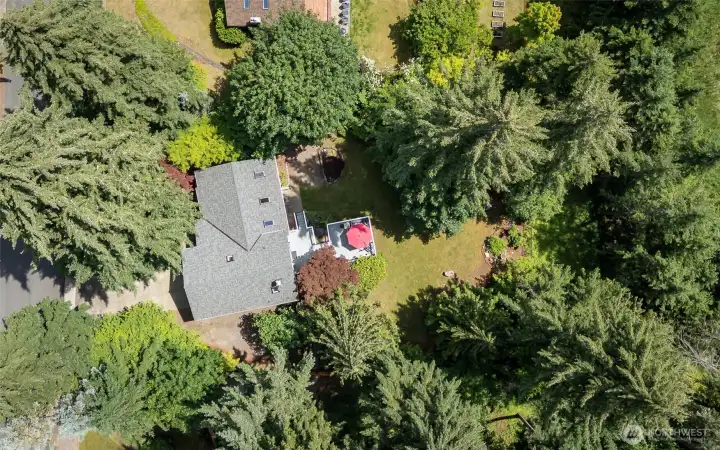 Rightfully encapsulated by signature fir trees!