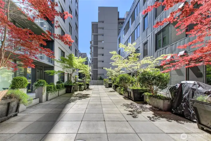 The off street courtyard you will overlook as you have coffee on your balcony. The off street courtyard you will overlook as you have coffee on your balcony.