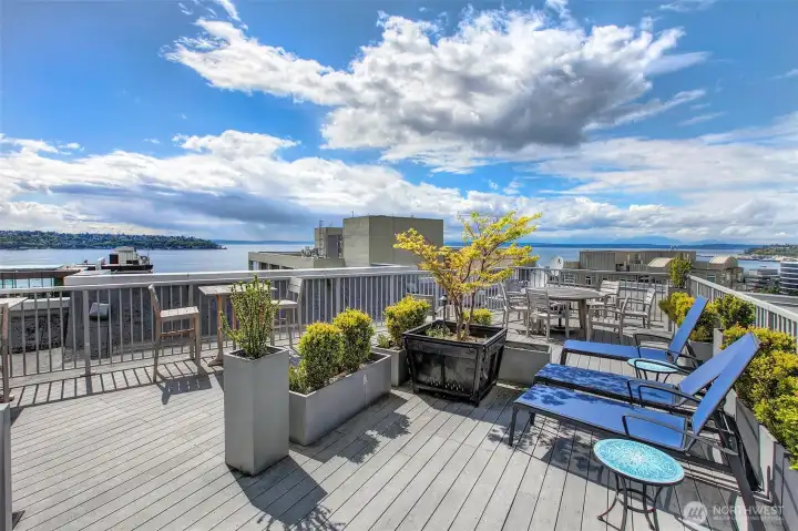 Enjoy our sunny Seattle days on these cute lounge chairs. Enjoy our sunny Seattle days on these cute lounge chairs.