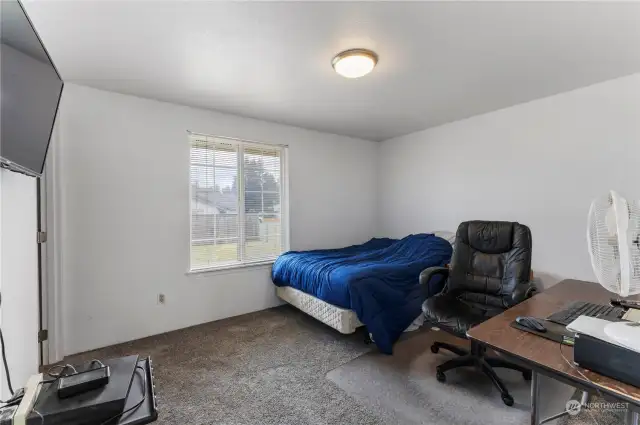 Another spacious bedroom, all bedrooms have walk-in closets.
