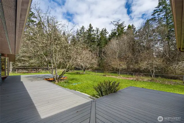 Back Deck