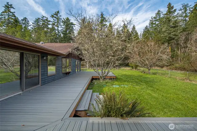 Back Deck