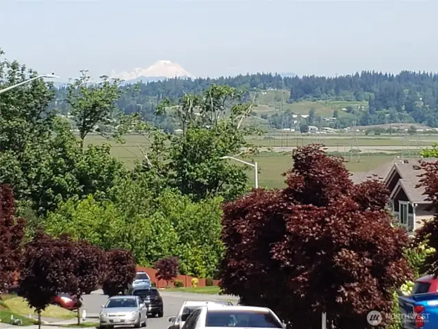 Larimer front yard view