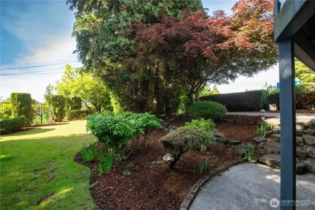 Lush trees and bushes frames this yard.