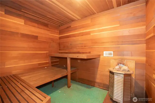 The Sauna in the "pool house".