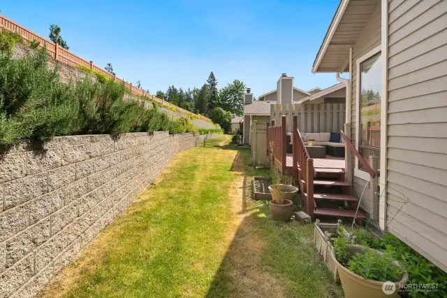 Beautiful easy to maintain yard