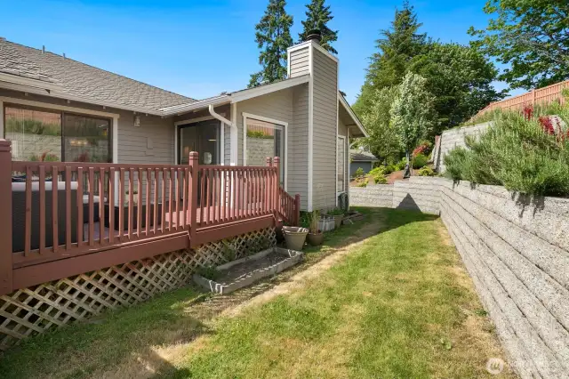 Beautiful easy to maintain yard