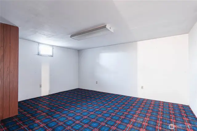 Basement Room non egress window
