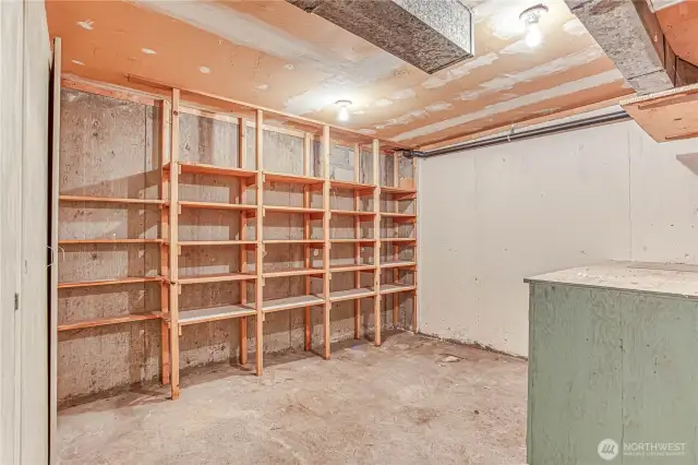 Basement Storage
