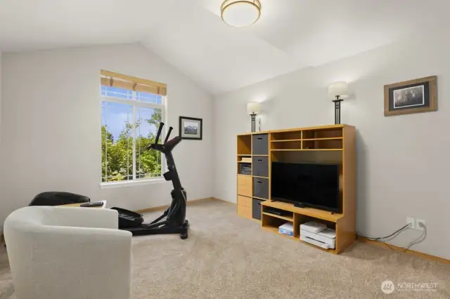 Vaulted ceilings give bedroom #4 an airy, open feel—making it a great option for a bonus room, studio, or media space.