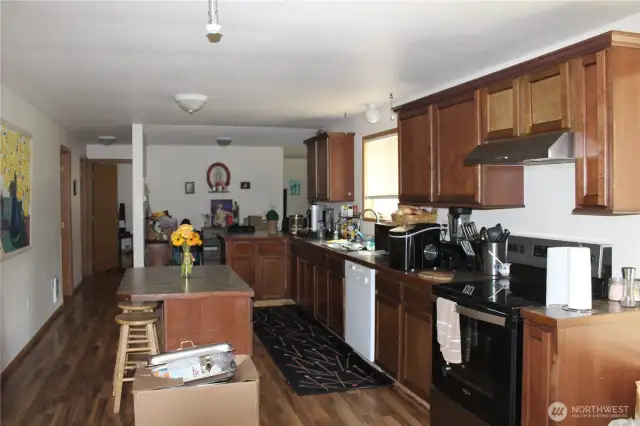 Large gally like kitchen
