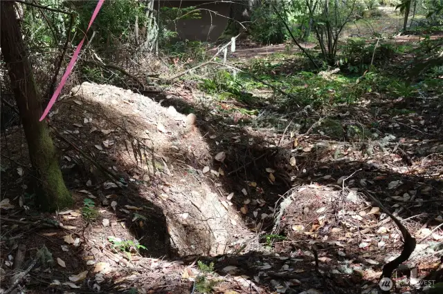 When you tromping around the property, watch out for the perk holes.