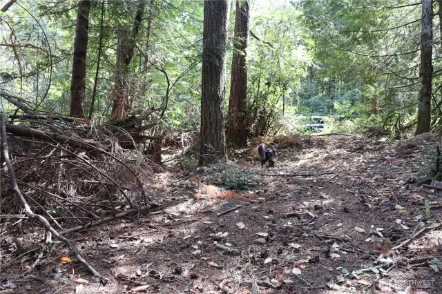 Small slope as you come in off the paved street.