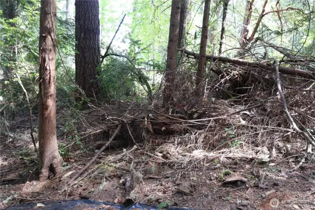 Still lots of wood around so you can keep your privacy.