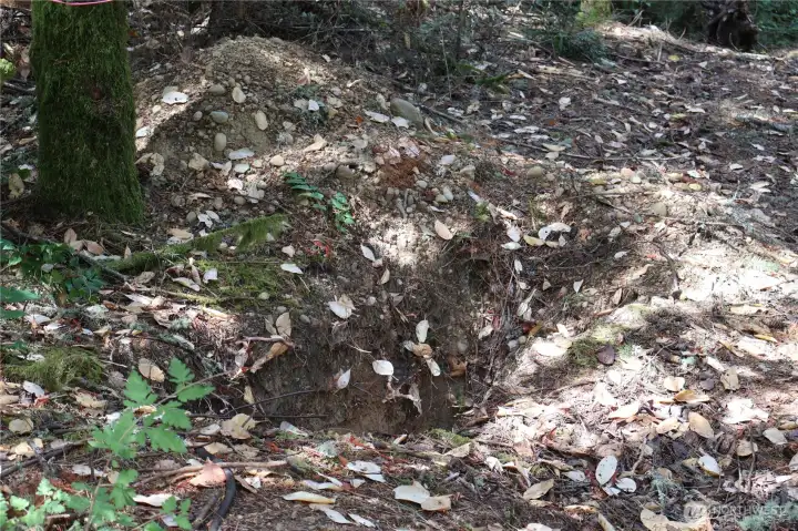 After Seller had the property perked, he was informed the property would likely support a 2 bedroom pressure system. Here's one of the perkles.