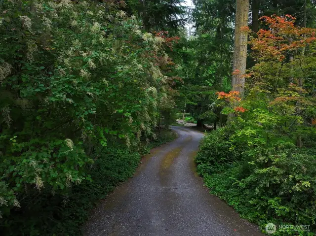 Driveway