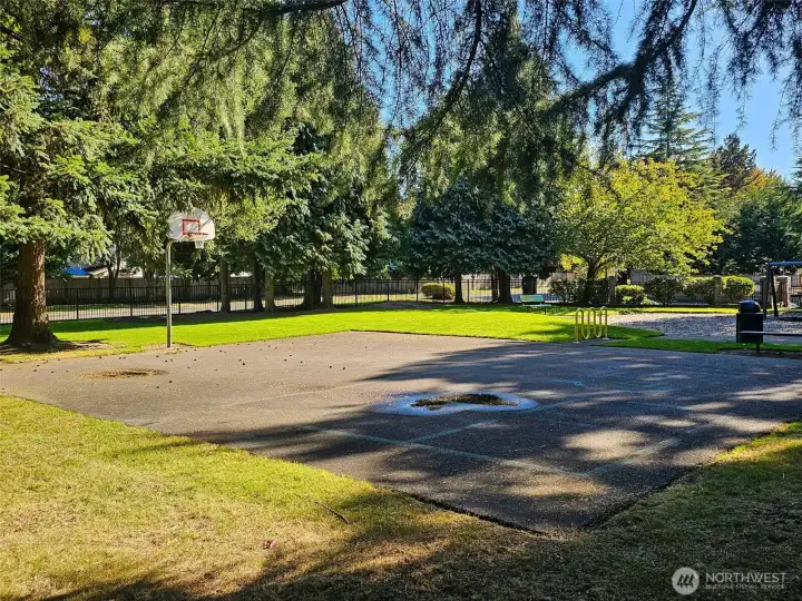 Basketball court