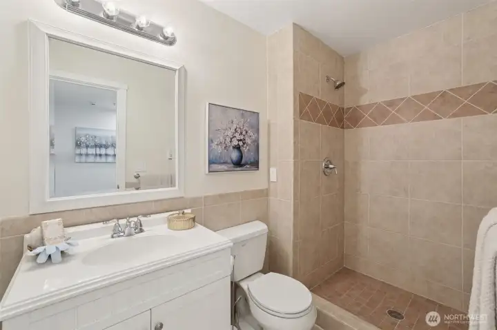 Hall Bathroom - guest bathroom - with floor to ceiling tile shower.