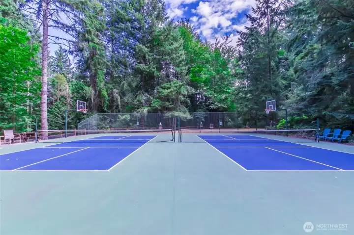 Pickle Ball Courts