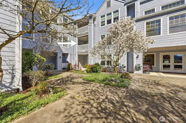 Peaceful outdoor space overlooking community patio