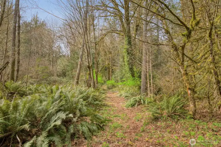 Trail to back of property!