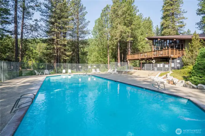 Ponderosa Clubhouse - Swimming Pool