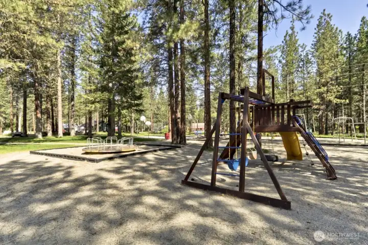 Ponderosa Playground