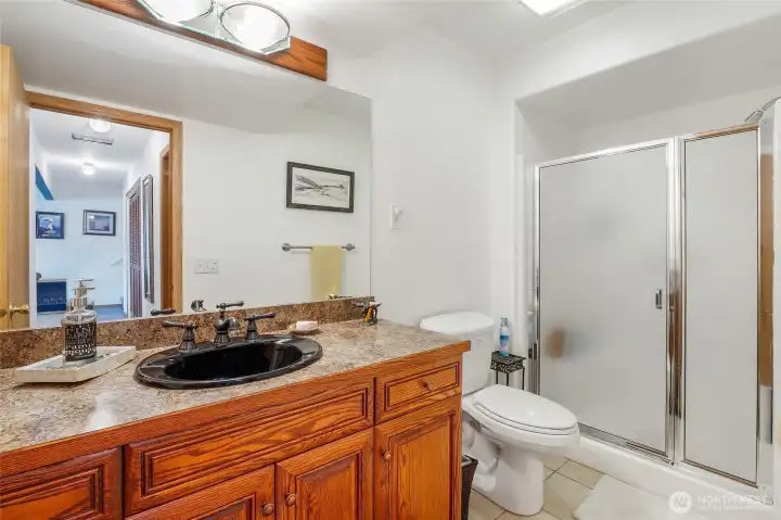 Lower level bathroom