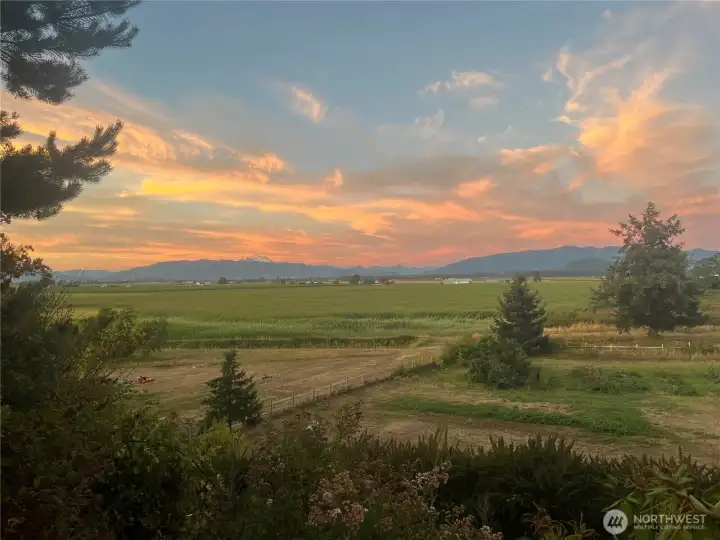 Every changing valley views with rotating crops and tulips...