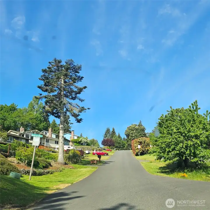 Road heading up to the house