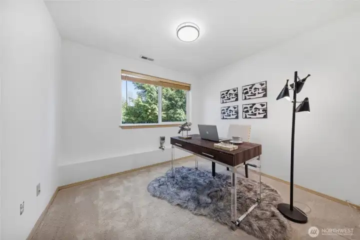 Bedroom #2 on lower level: staged as office.