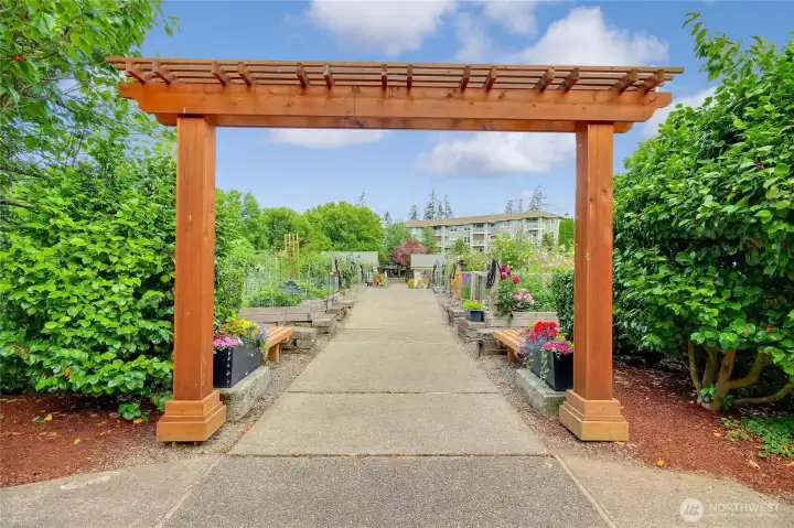 Pea Patch Garden is just up the hill from the condo.