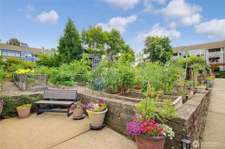 The garden is a Beautiful place to take a sbroll.