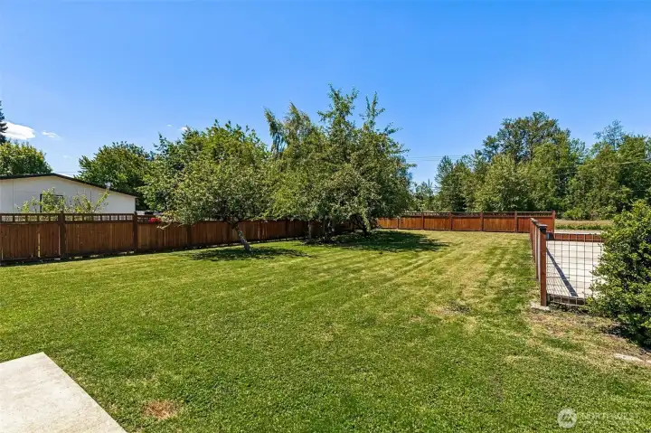 0.5 acre of fully-fenced & flat land!