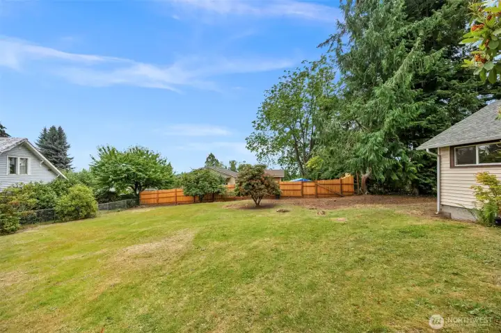 Incredible lawn