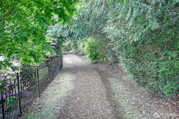 Trails for Walks down to the Beach~ Trails for Walks down to the Beach~