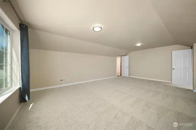 Huge bonus room with deep closet