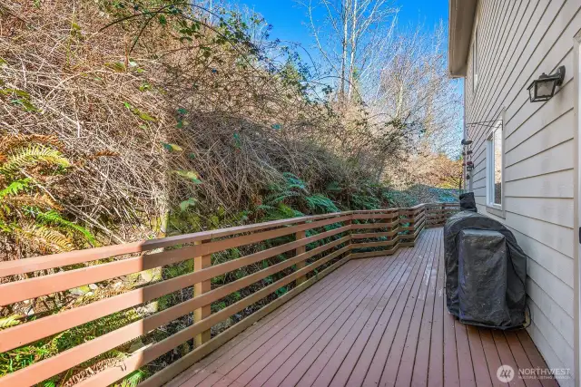 Deck off Informal Dining Room