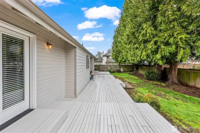 Backyard and deck