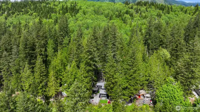 Tremendous setting in the woods!