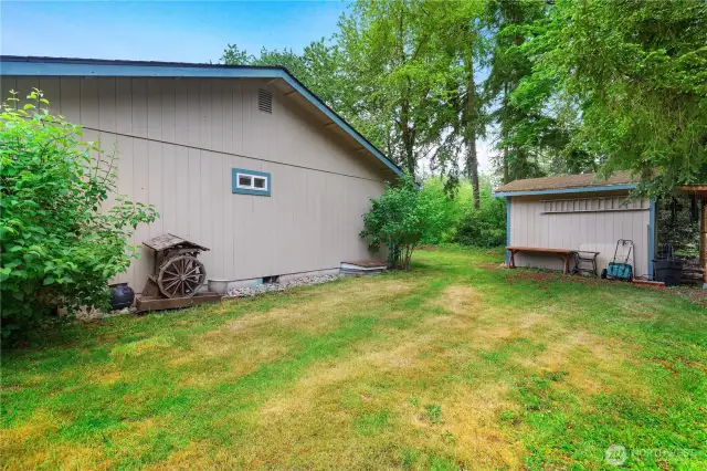 Side Yard