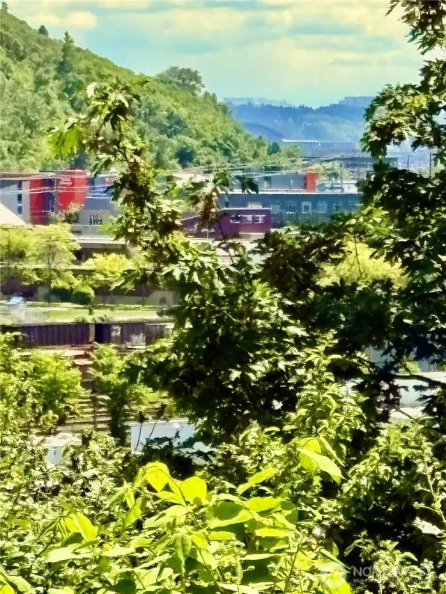 Territorial view out over the railroad tracks. When Mt Rainier is out.. it's yours to savor.